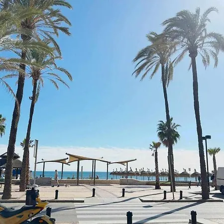 Palm Beach Parking Piscina Andra